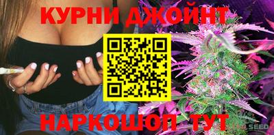 гашик Малгобек