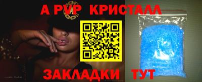 гашик Малгобек