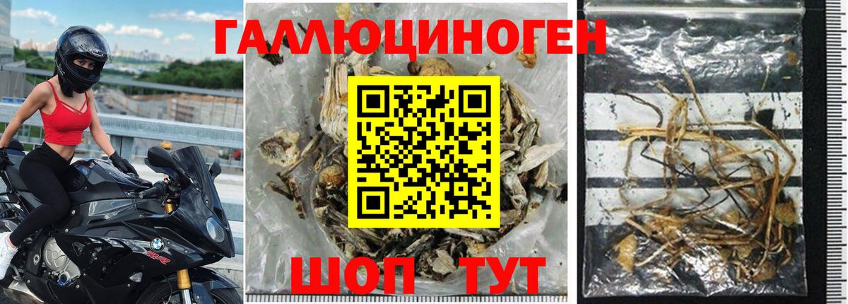 Галлюциногенные грибы Magic Shrooms  Вход с VPN  Джанкой 